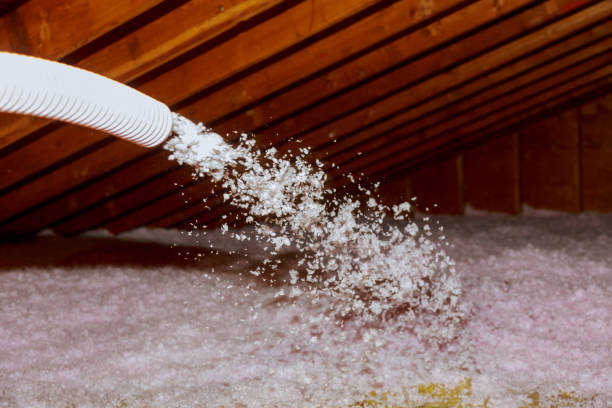 Best Eco-Friendly Insulation in Bertram, TX